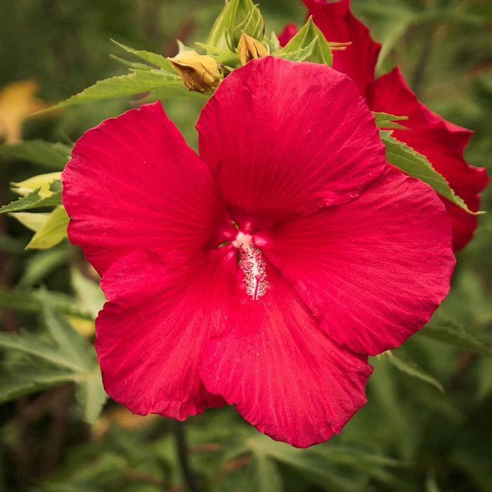 photo-160716-0119-Edit.jpg