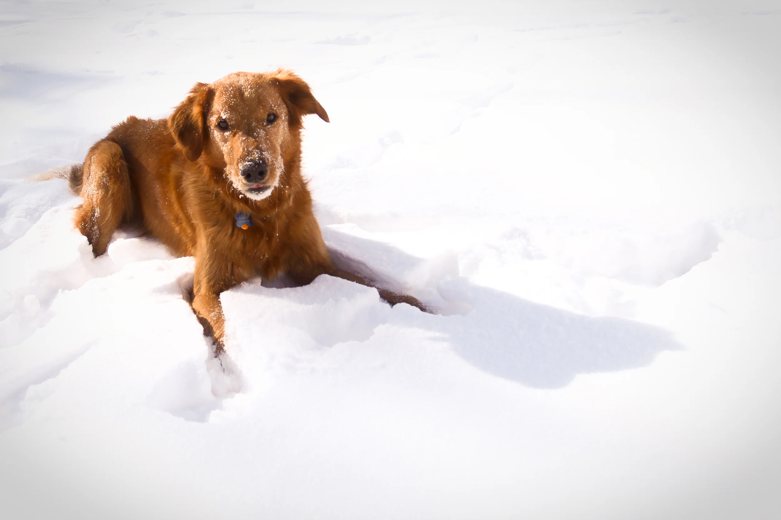 snowday2011_08.jpg