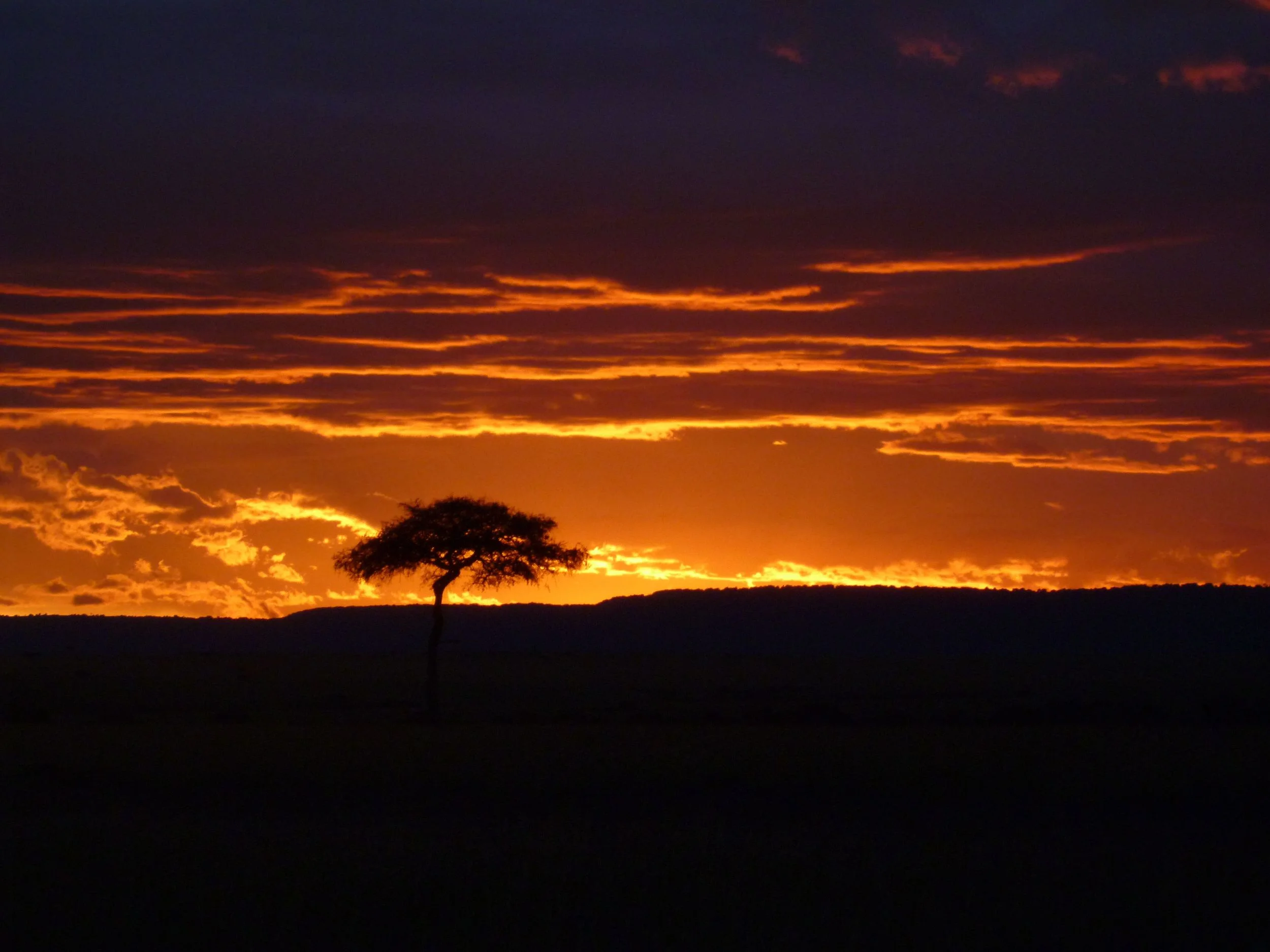 Rack up miles and spend your next anniversary watching sunsets in the African savannah