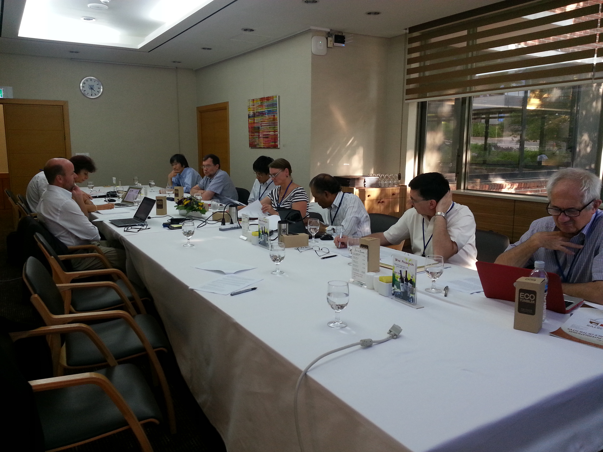 istvs_seoul2014-kim_BoD meeting.jpg
