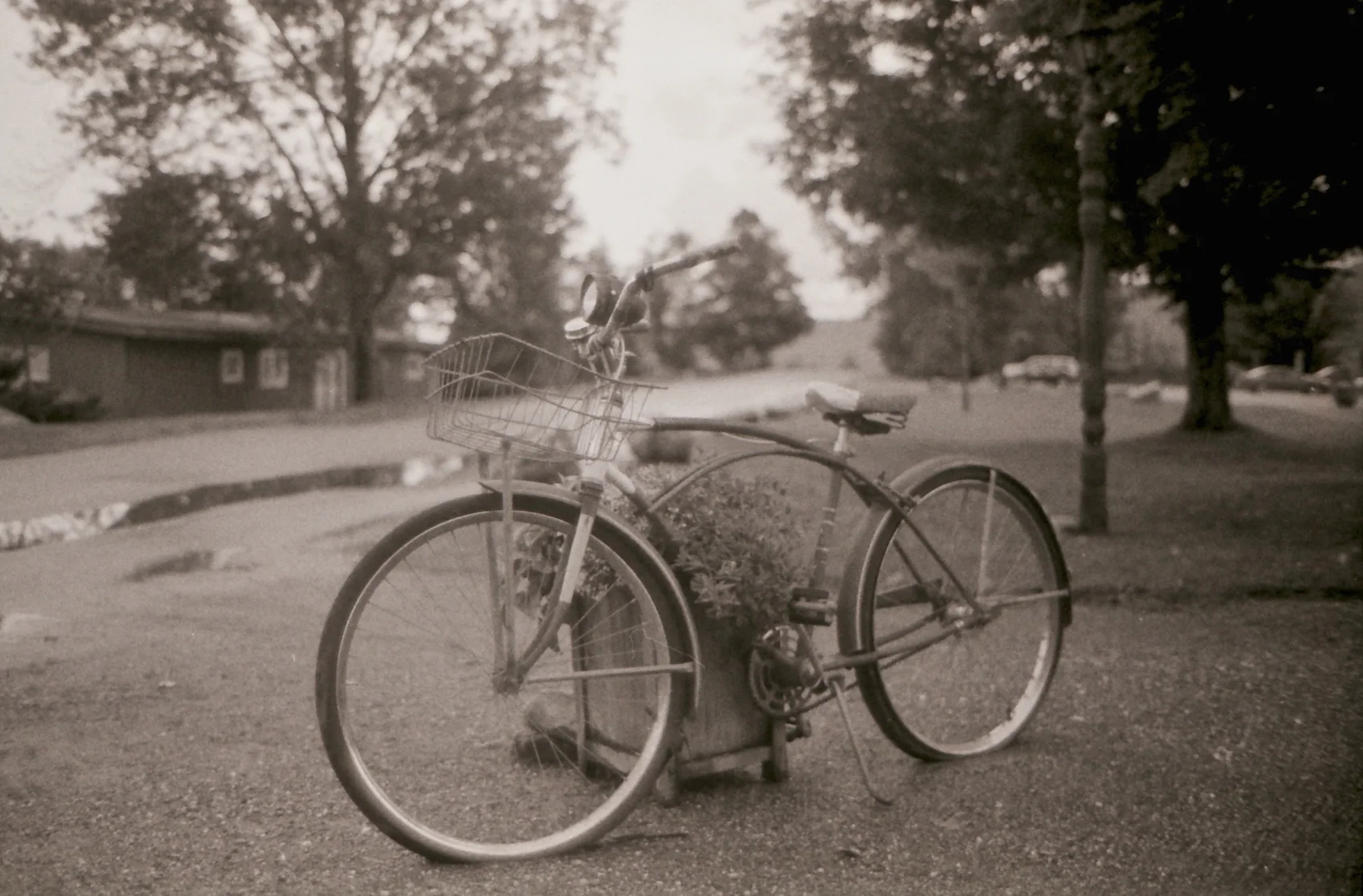 trappbike.jpg