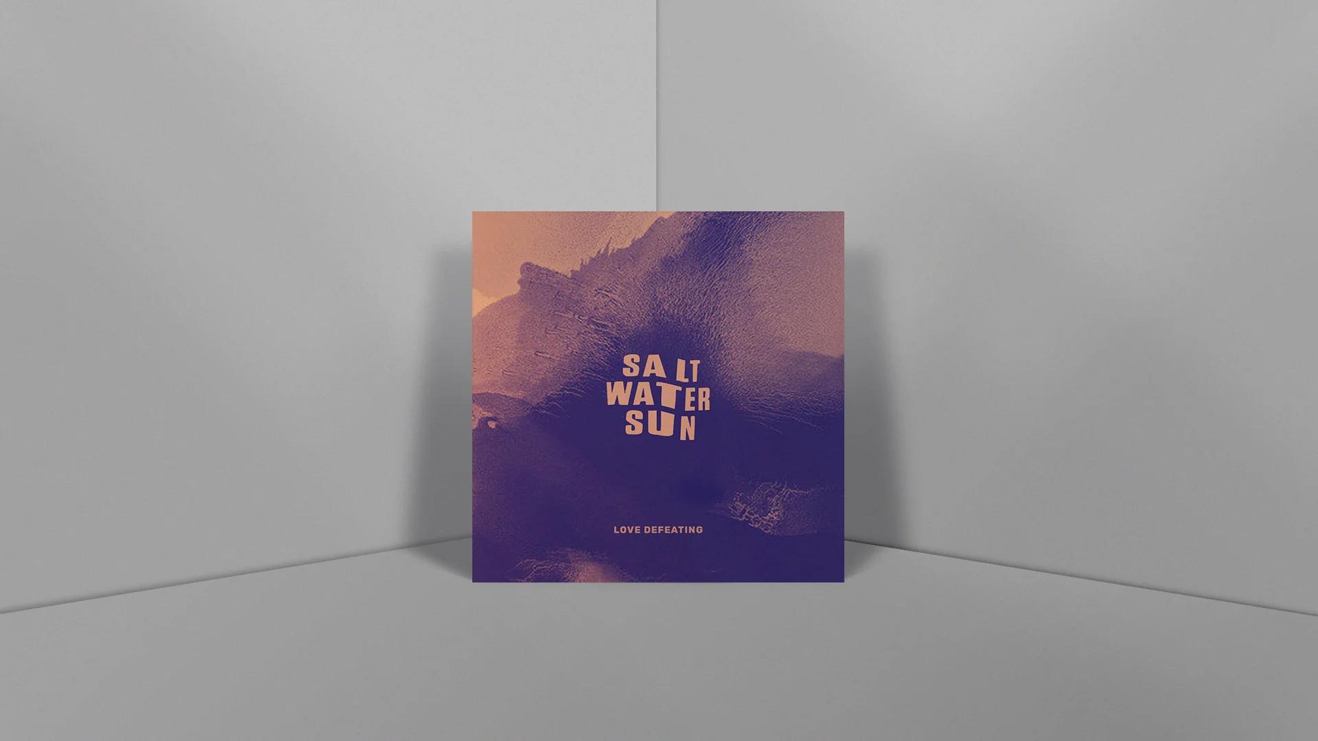 SWS-covers-5.jpg