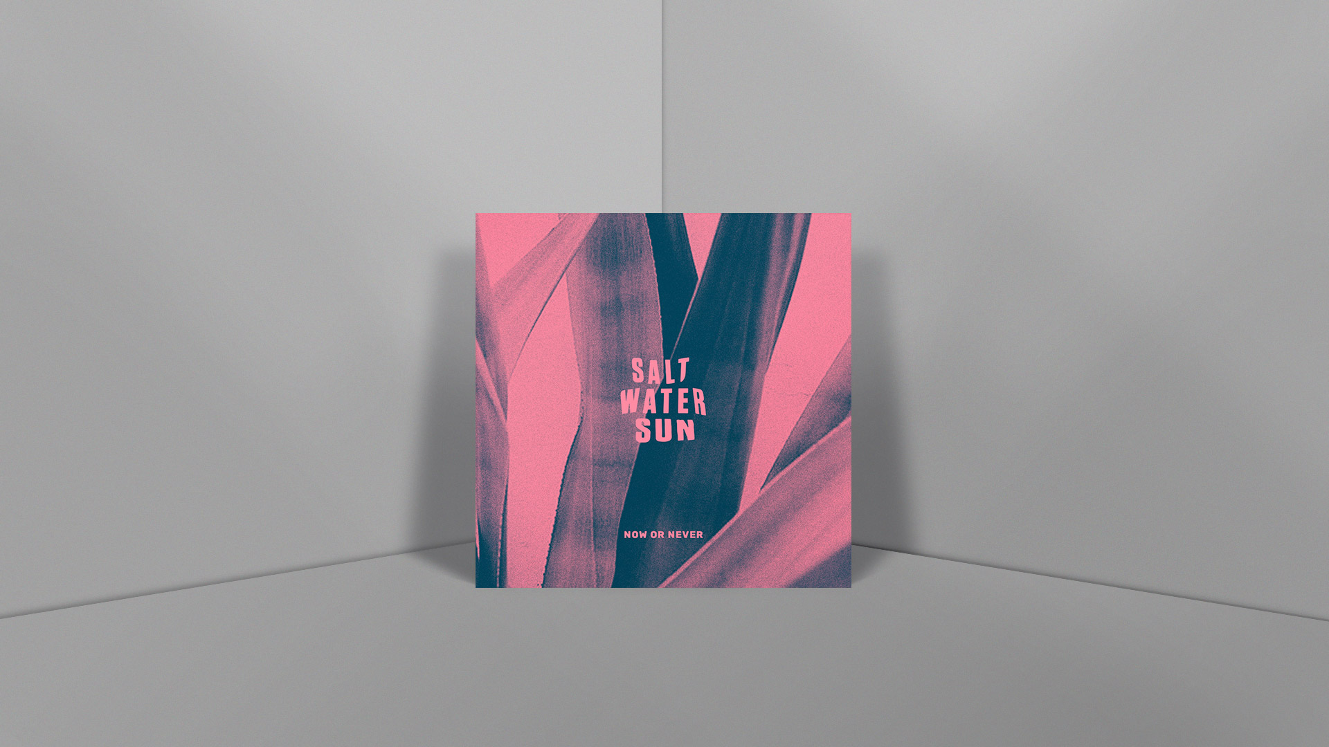SWS-covers-6.jpg