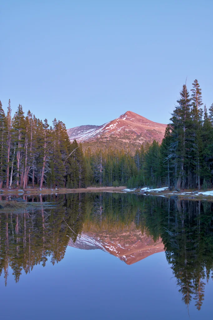 Reflection