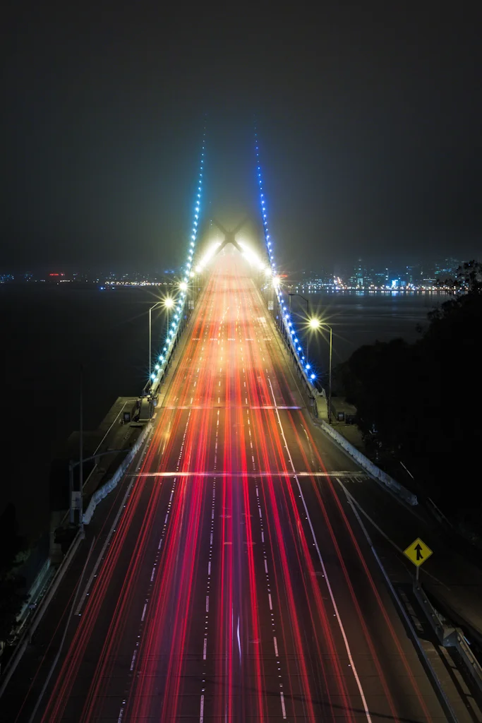 Into the Fog