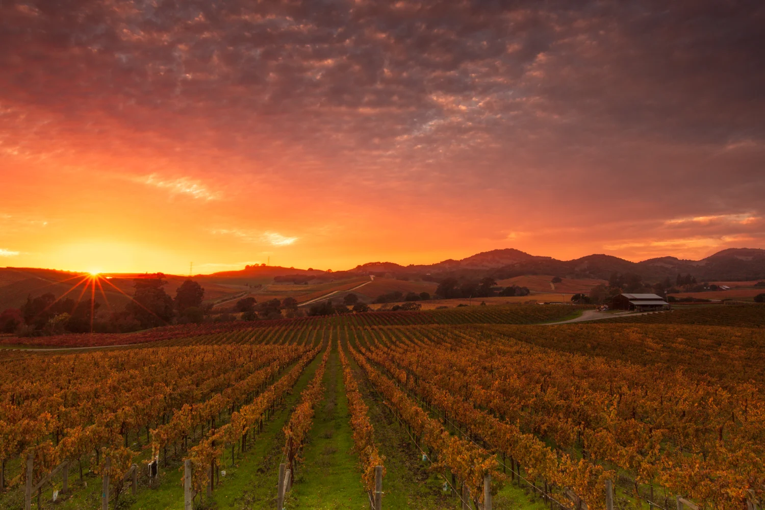 Landscape photograph: That One Night