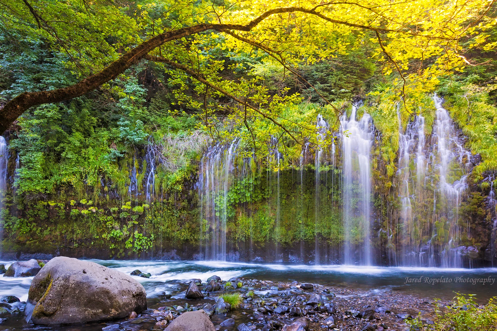 Mosbrae in Light Web.jpg