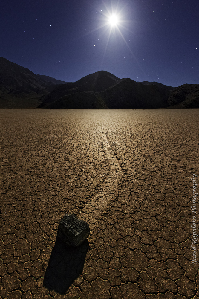 Racing by the Light of the Moon.jpg