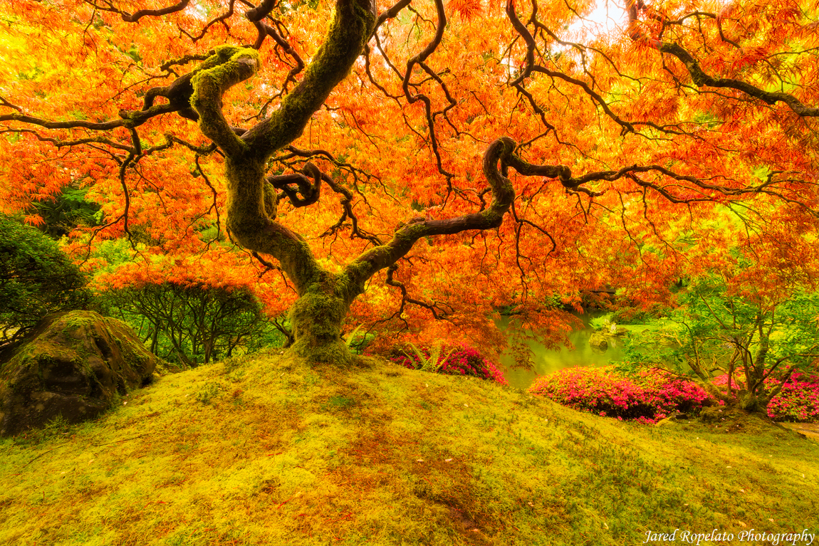 Landscape photograph: Little Giant
