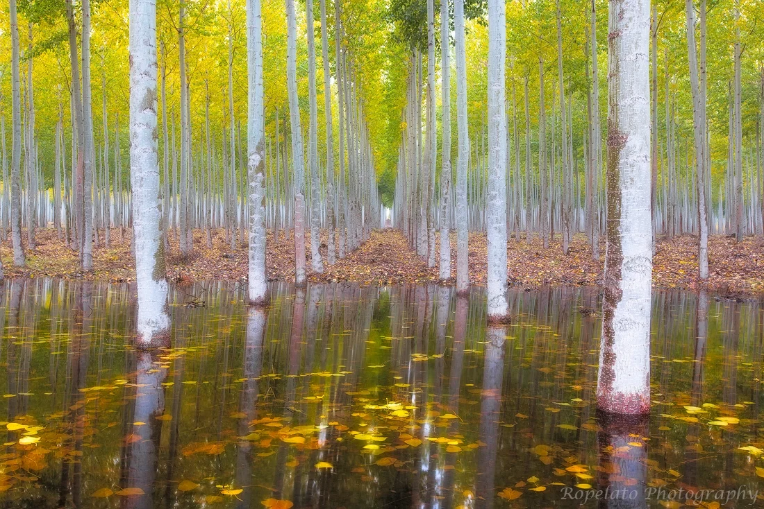 Landscape photograph: Mirror Mirror in the Fall