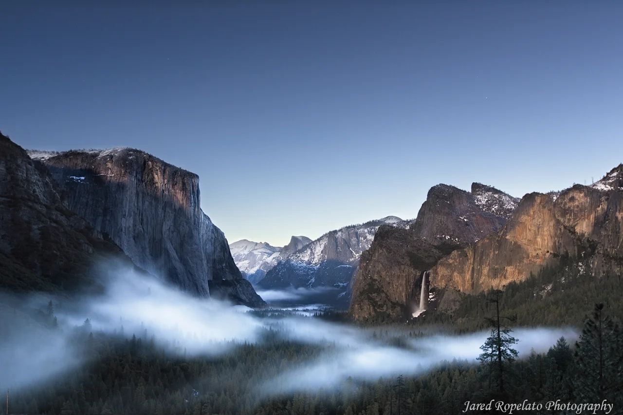 Nighttime in the Valley of Giants