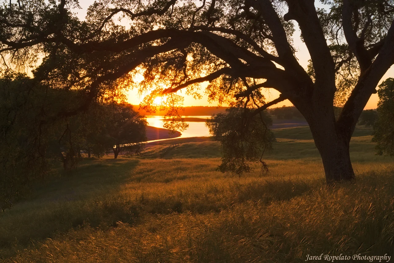 Folsom Lake