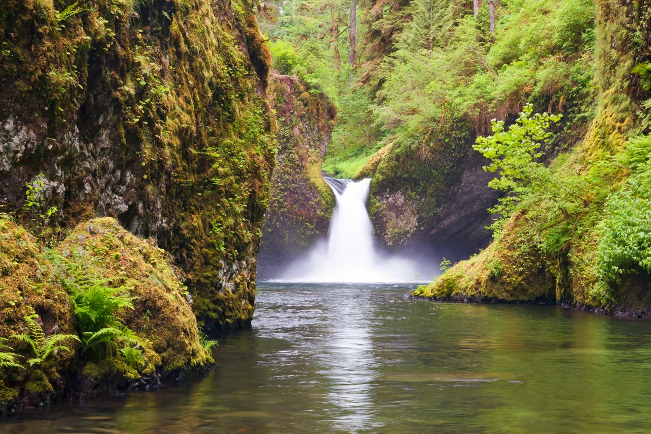 Punch Bowl