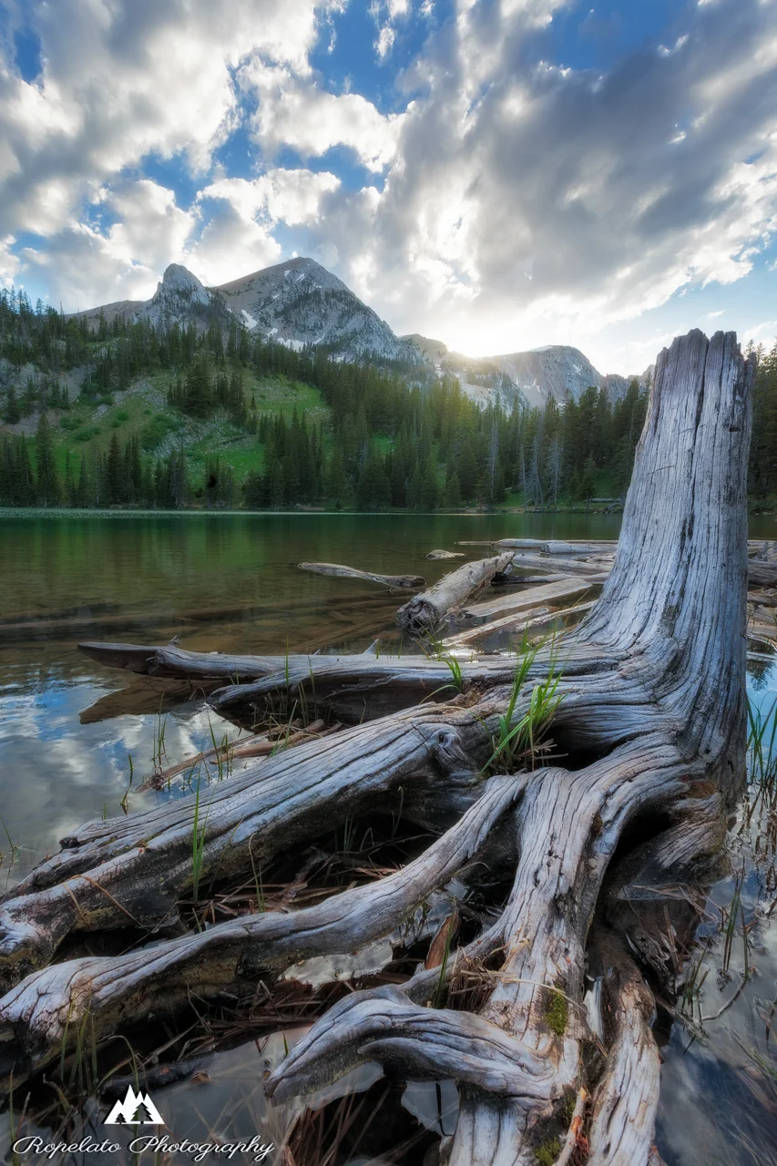 Fairy Lake