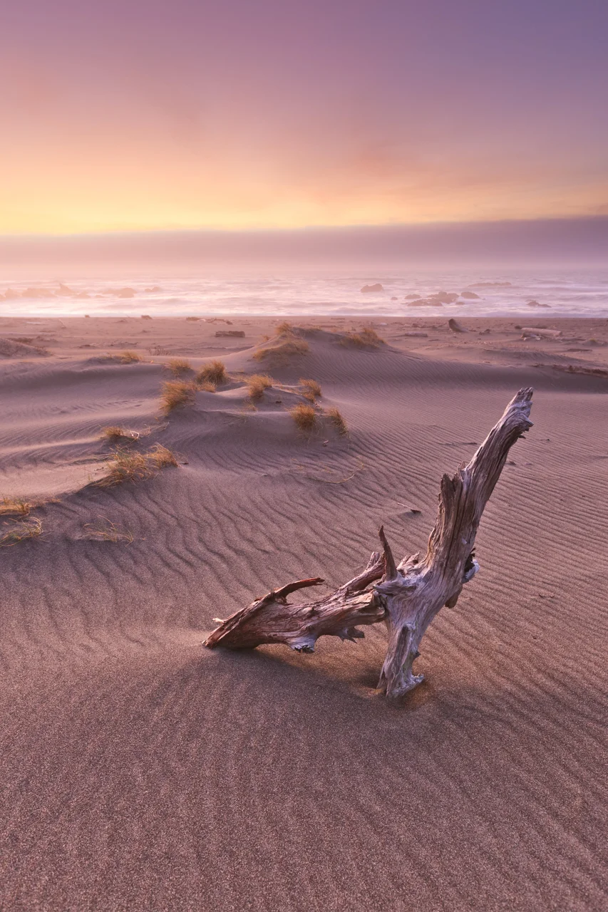 Driftwood