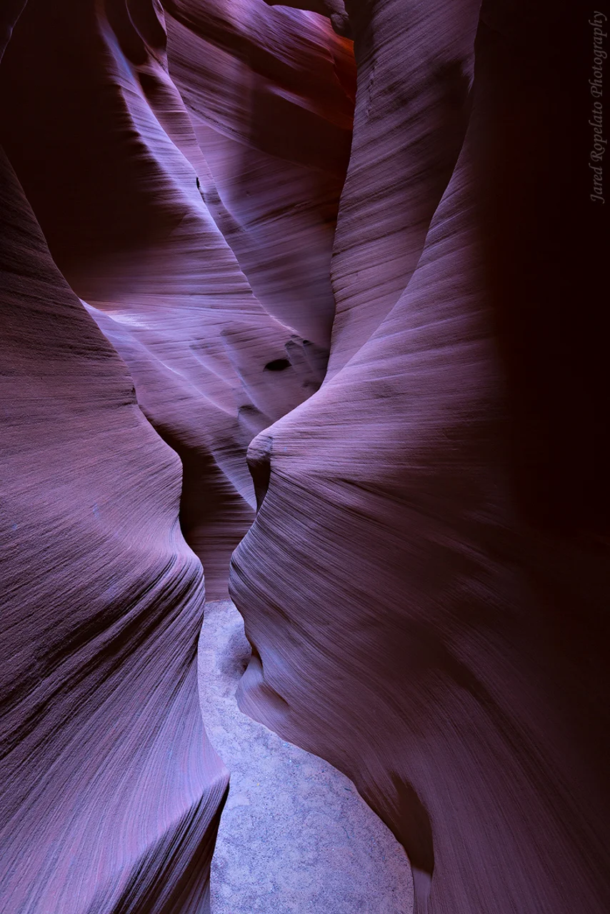 Whisper