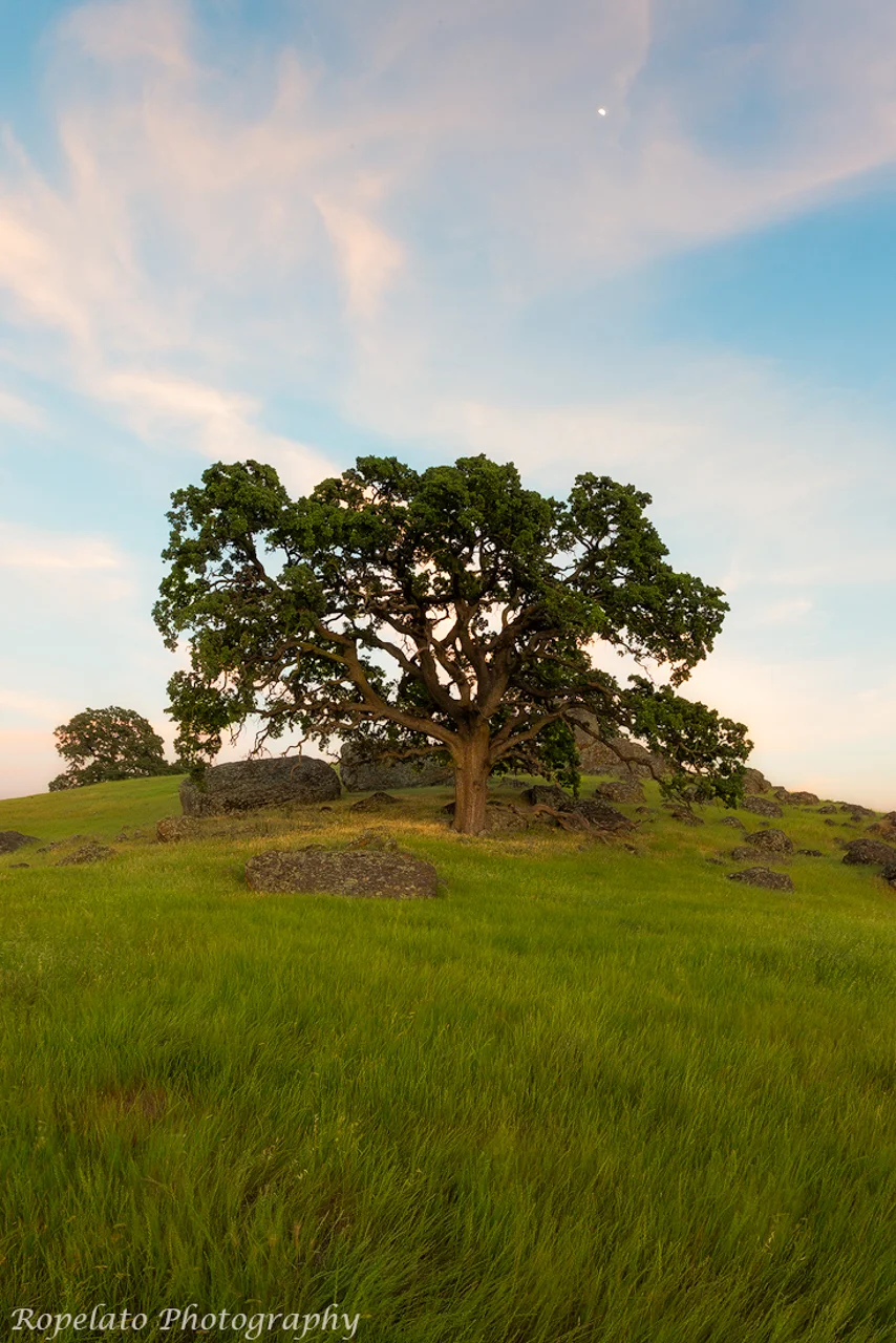 On a Hill
