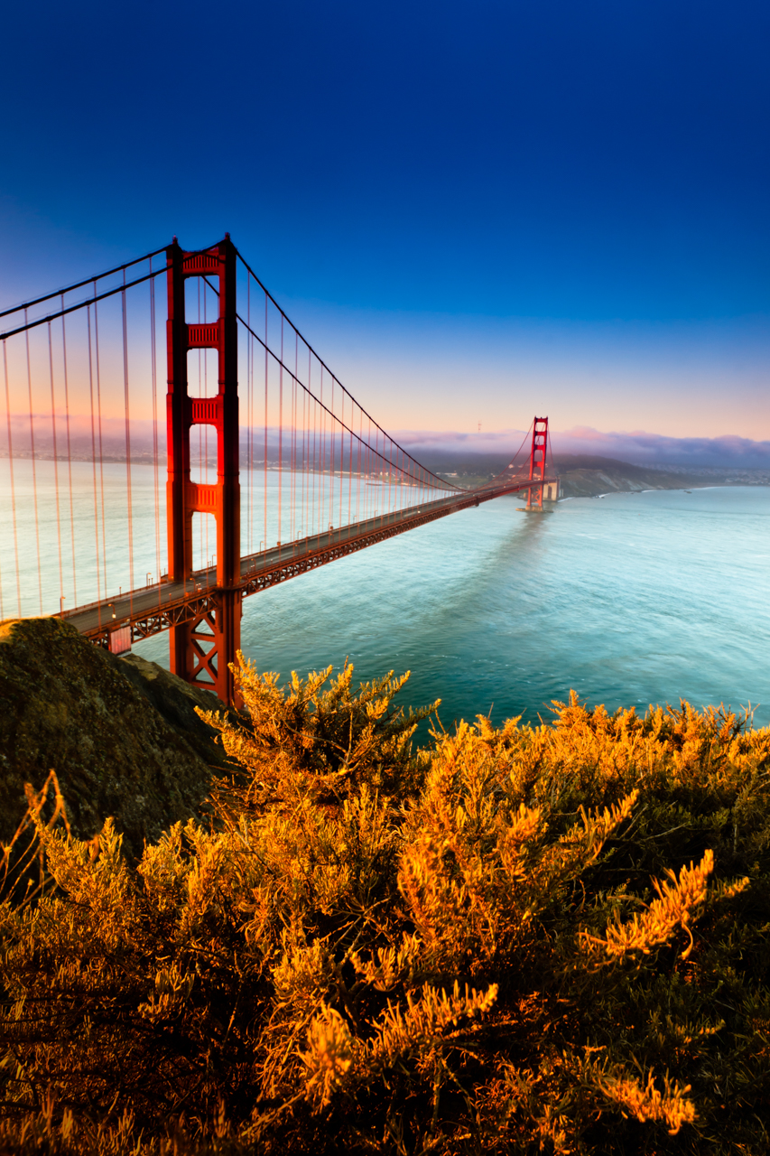 The Bridge