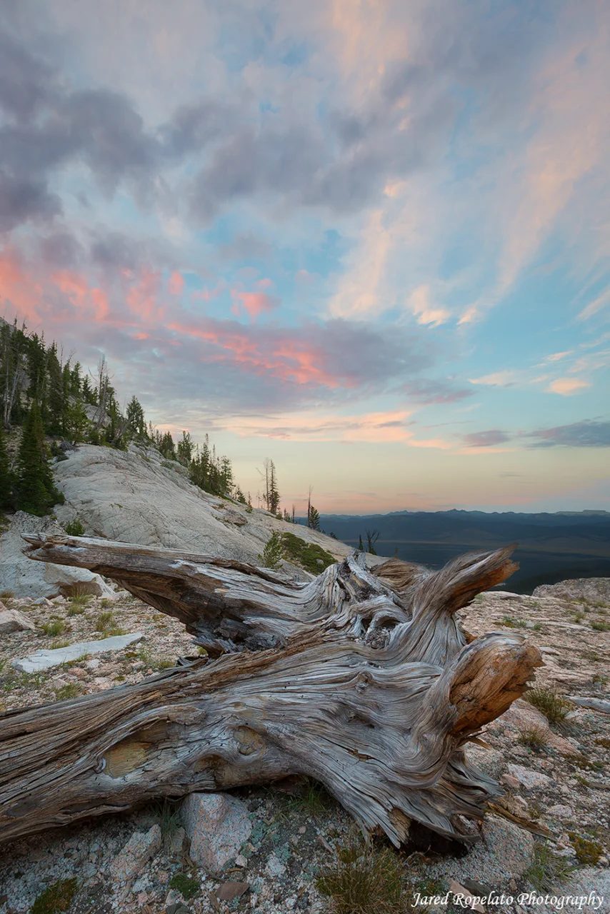 Overlooking Redwood