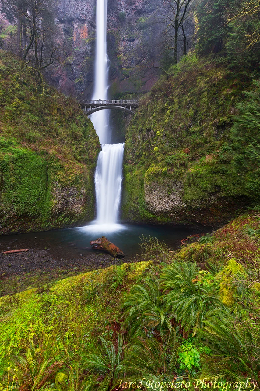Multnomah