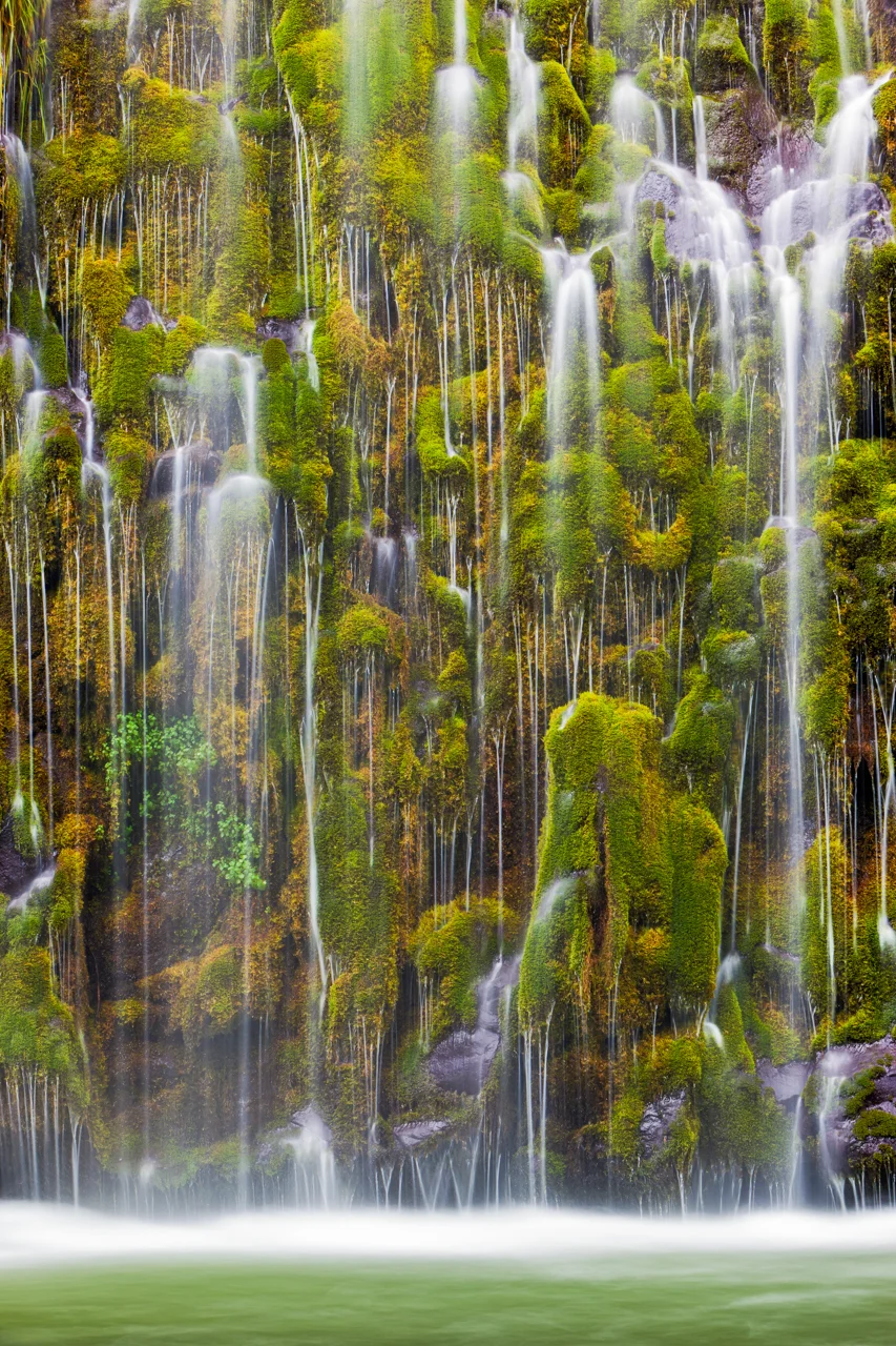Mossbrae Detail