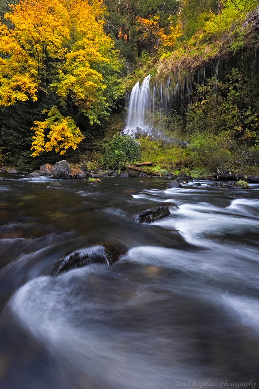 Flowing Fall