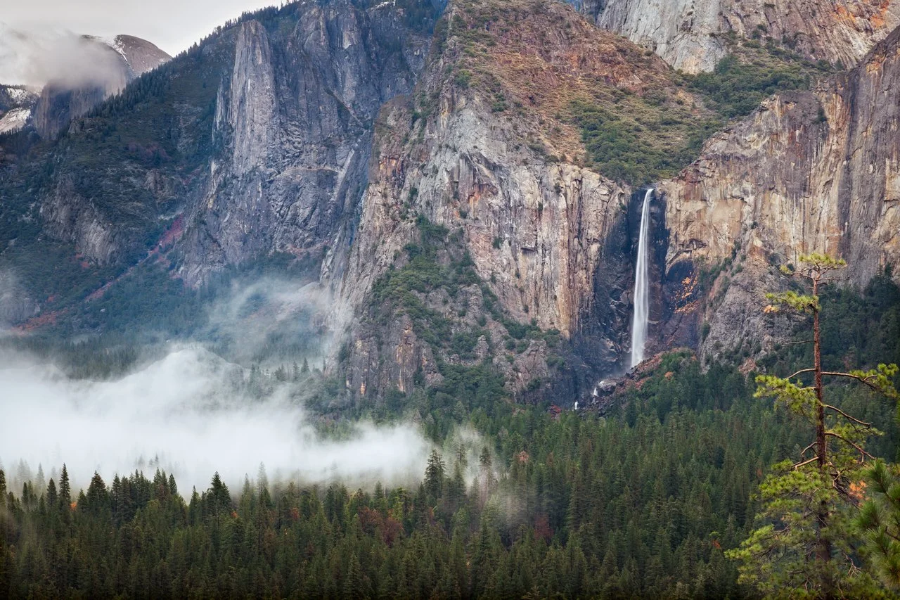 Falls+and+Fog+Web.jpg