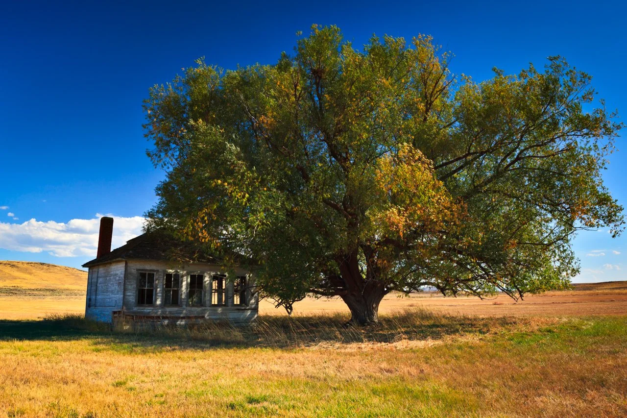 This+Old+House%2C+Southern+Oregon+Web.jpg