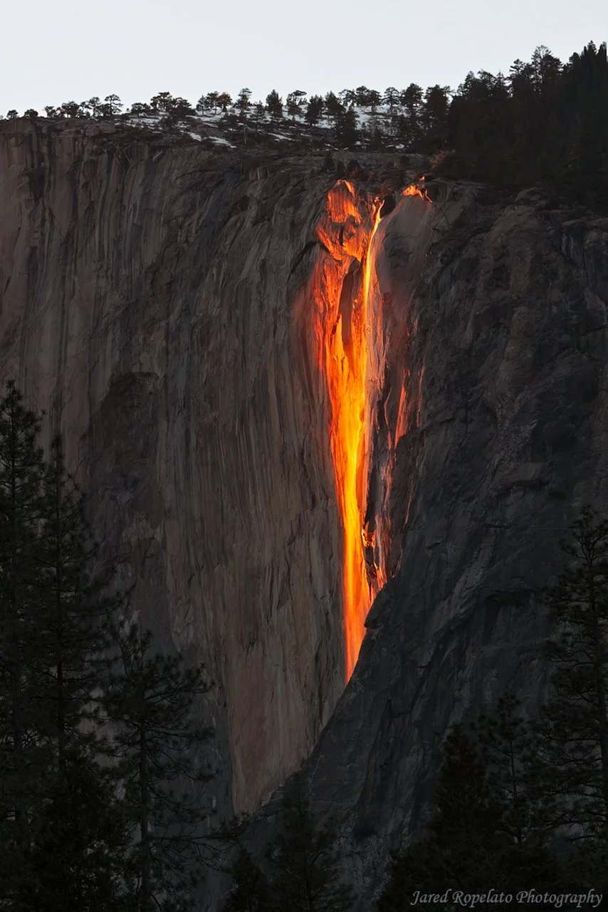 Fire+Falling+Web.jpg