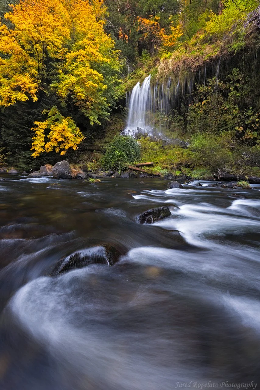 Water.+Fall.++Web.jpg