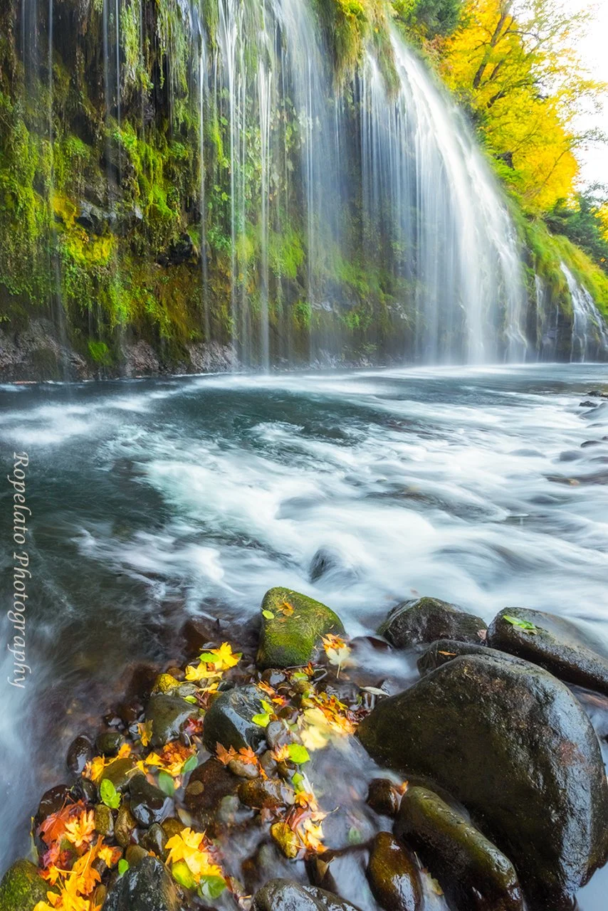 Water+World+Web+Web.jpg