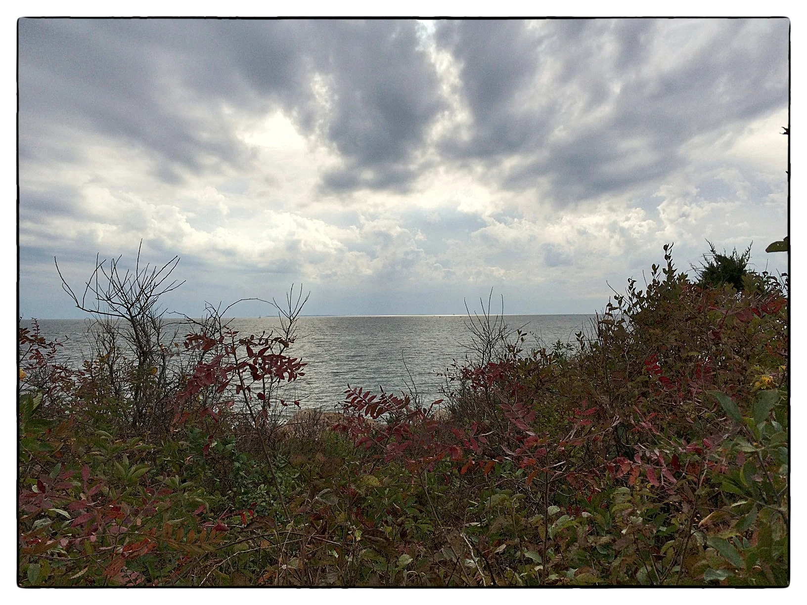 Bluff Point State Park in Groton, Conn., shot October 19, 2013.
