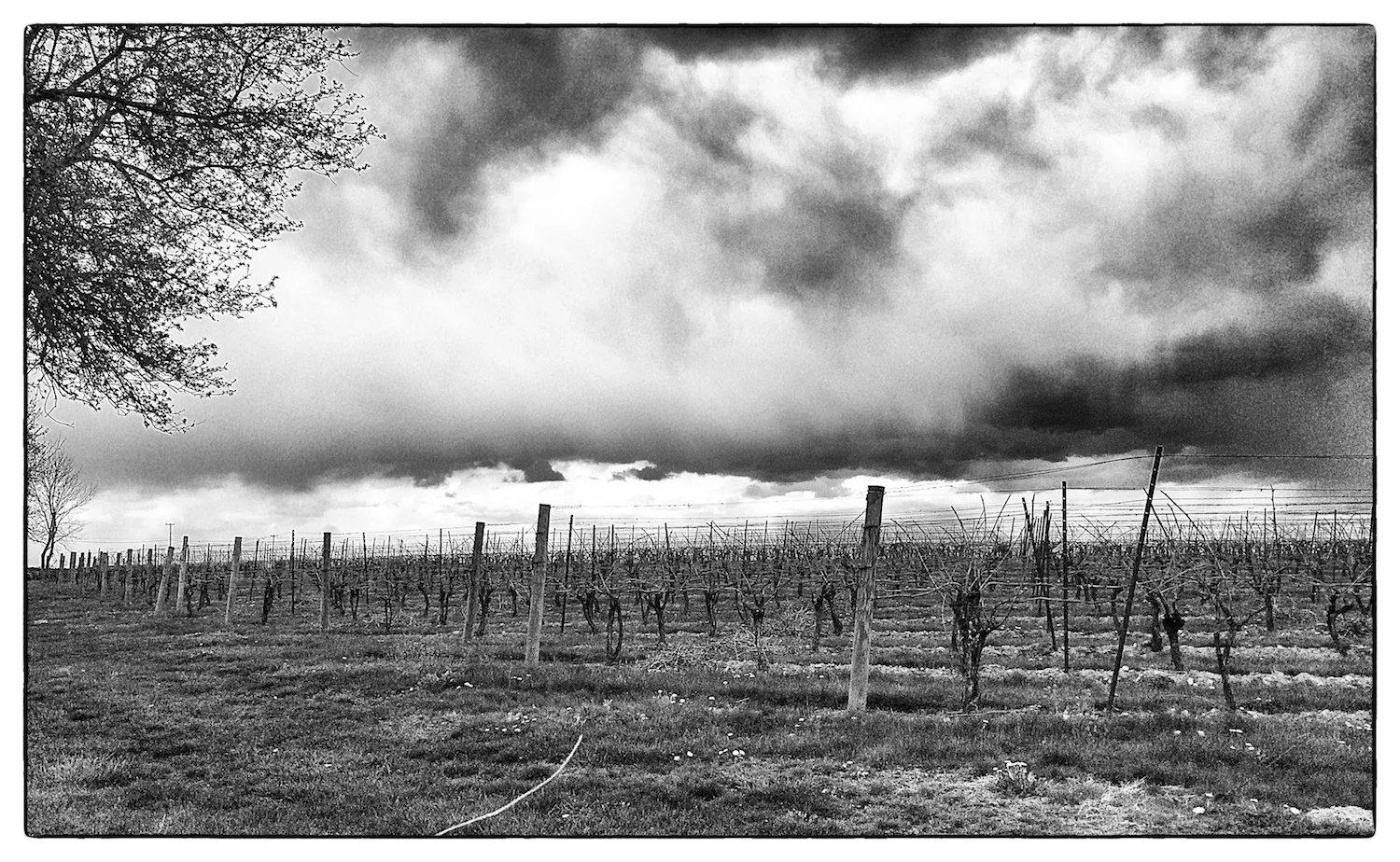Storm clouds gather over Jonathan Edwards Winery in North Stonington, Conn., shot on May 4, 2014.