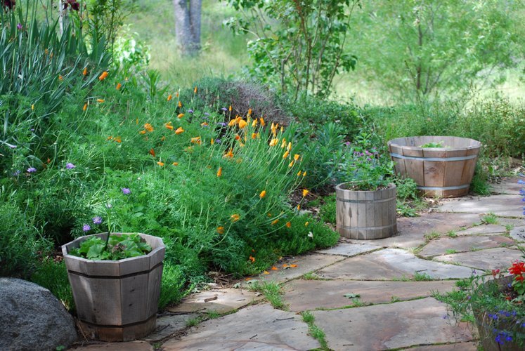 stone & wildflowers