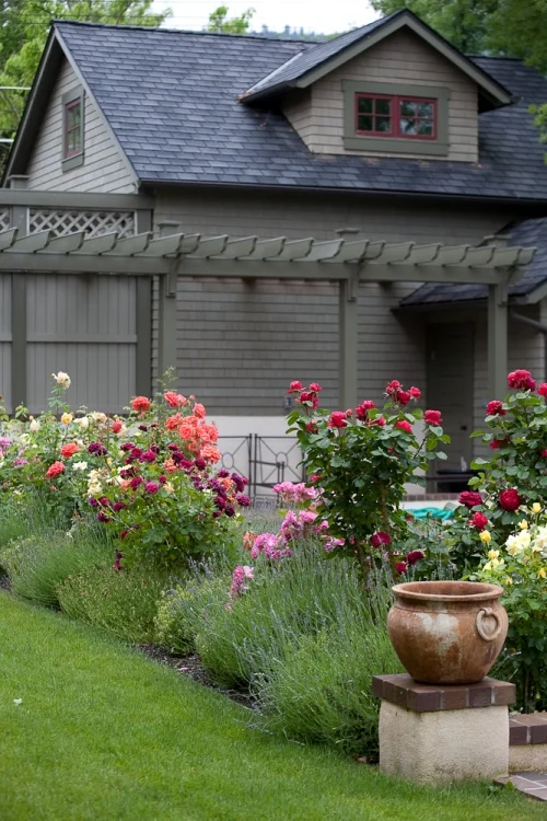 roses and poolhouse arbor