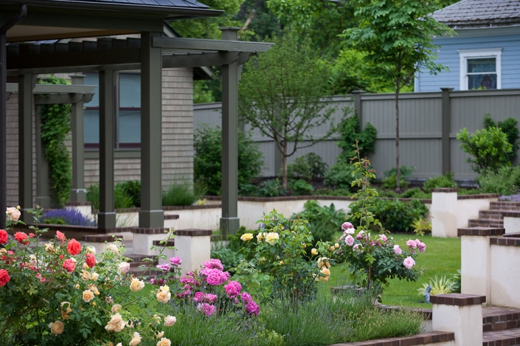 rose garden and arbor