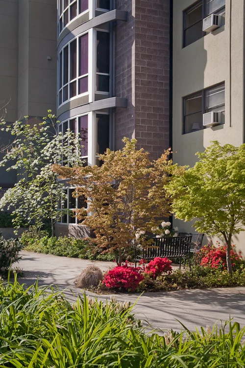 sou elderhostel trees.jpg