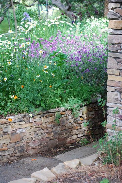 stone wall w/ wildflowers