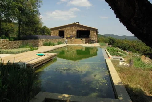pool 4.jpg
