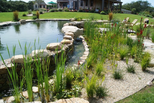 tropical-swimming-pools-and-spas.jpg