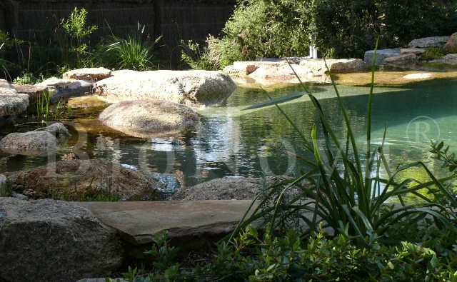 18582_885_org wtrmkd.jpg