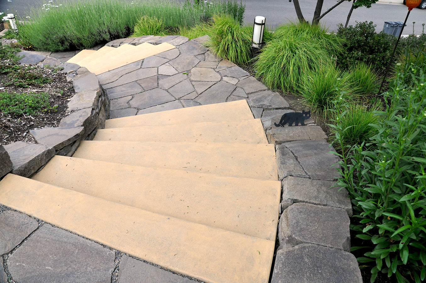 Orange steps (8).jpg