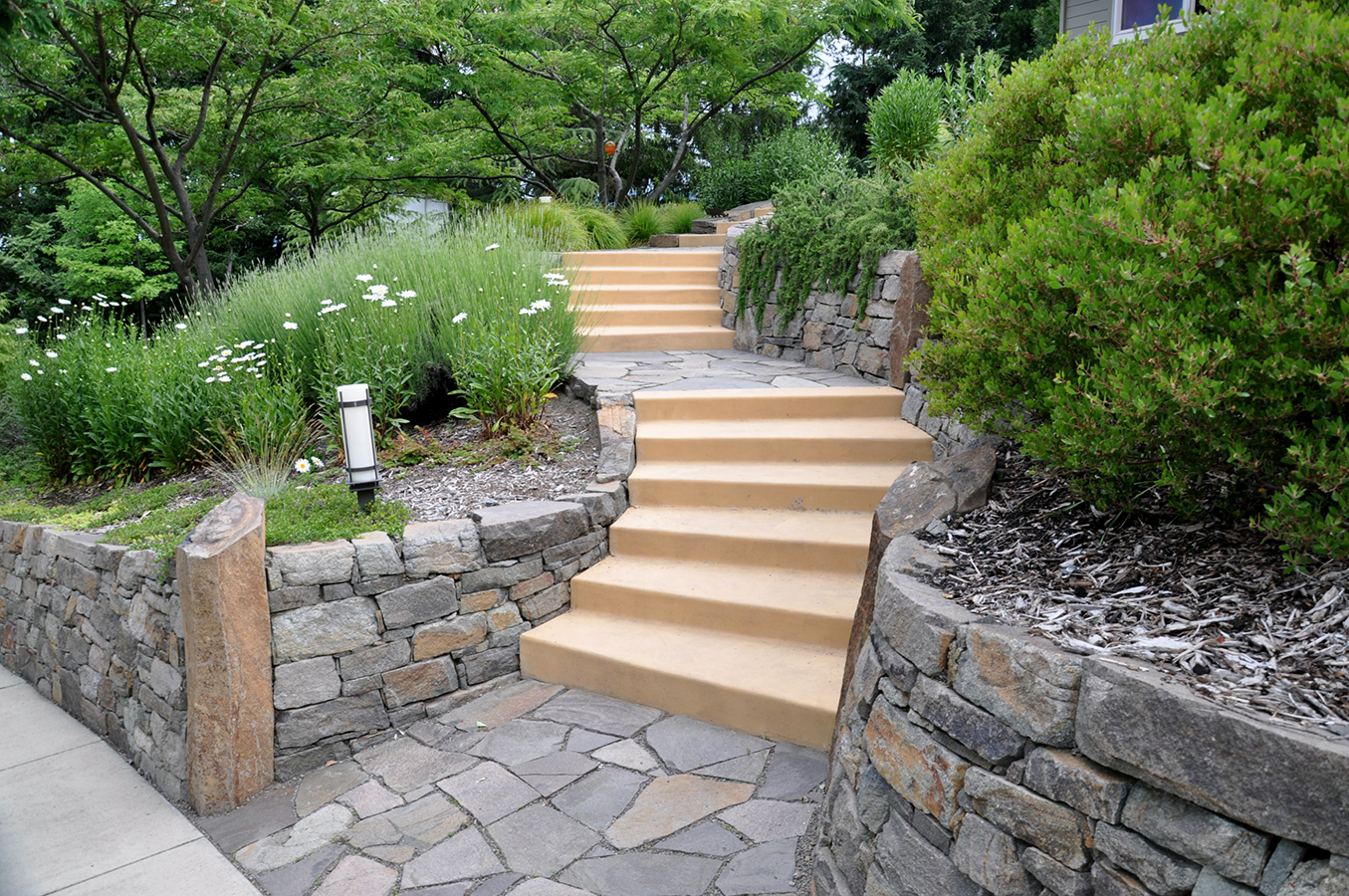 Orange steps (10).jpg