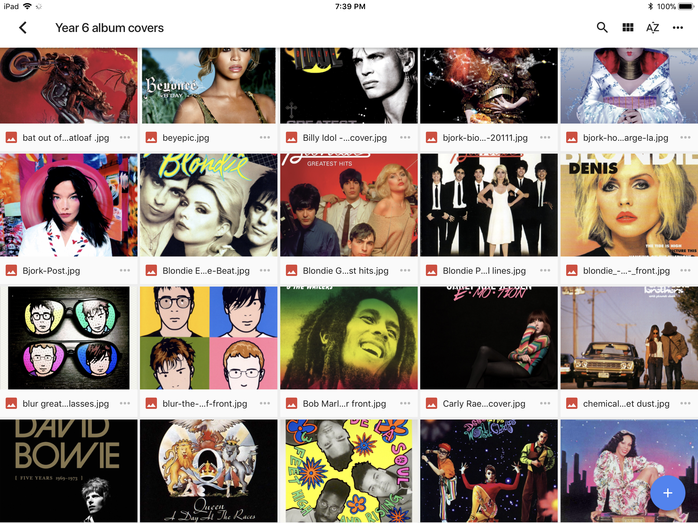 screengrab of PDF.PNG