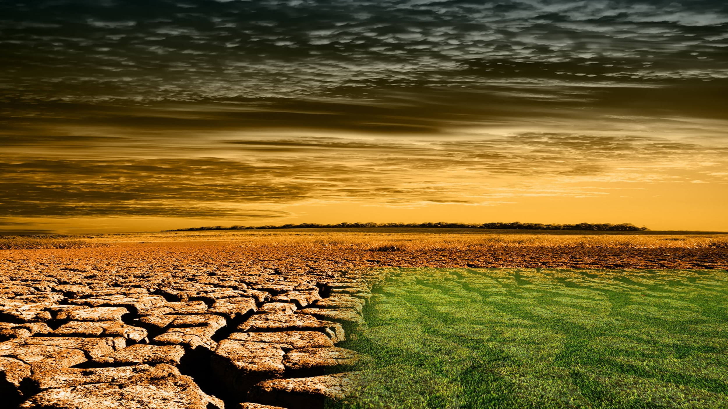 Paint. Net project - water crisis Part 1.png