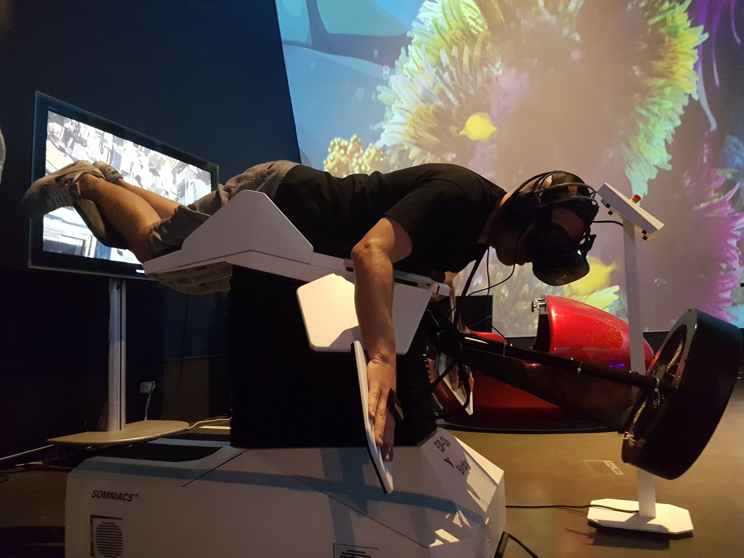(2016) The modded nature of the HTC Vive at Singapore Science center.