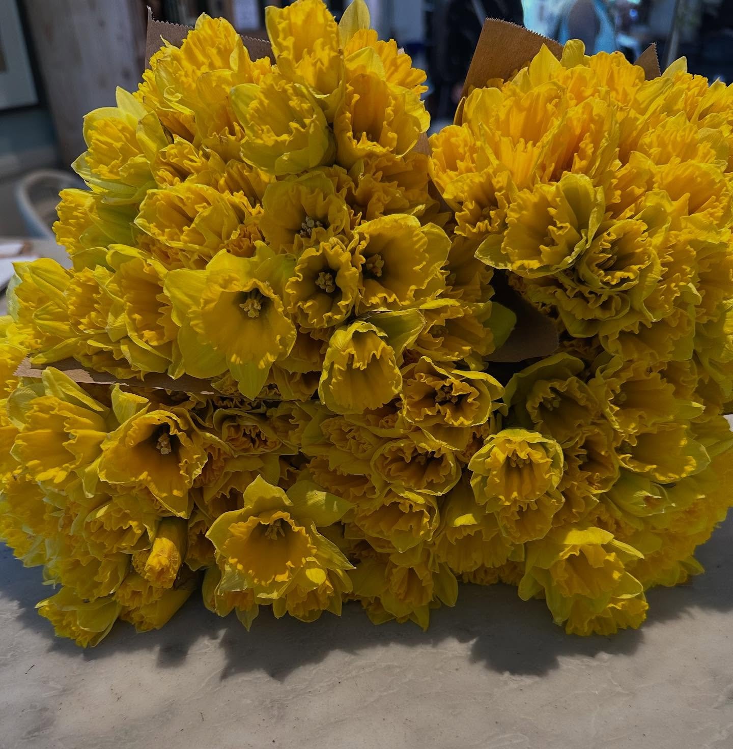 Daffodils say it&rsquo;s just about Spring. First one to guess how many daffodils are pictured and you win a bunch!! Good luck!

#daffodils #spring #laflorist #shermanoaks #supportsmallbusiness #goodluck