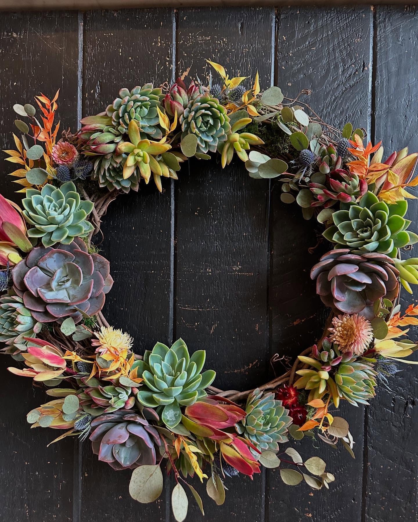Add a little color to your front door 

#wreath #succulents #succulentwreath #frontdoor #laflorist #shermanoaks #shoplocal #supportsmallbusiness