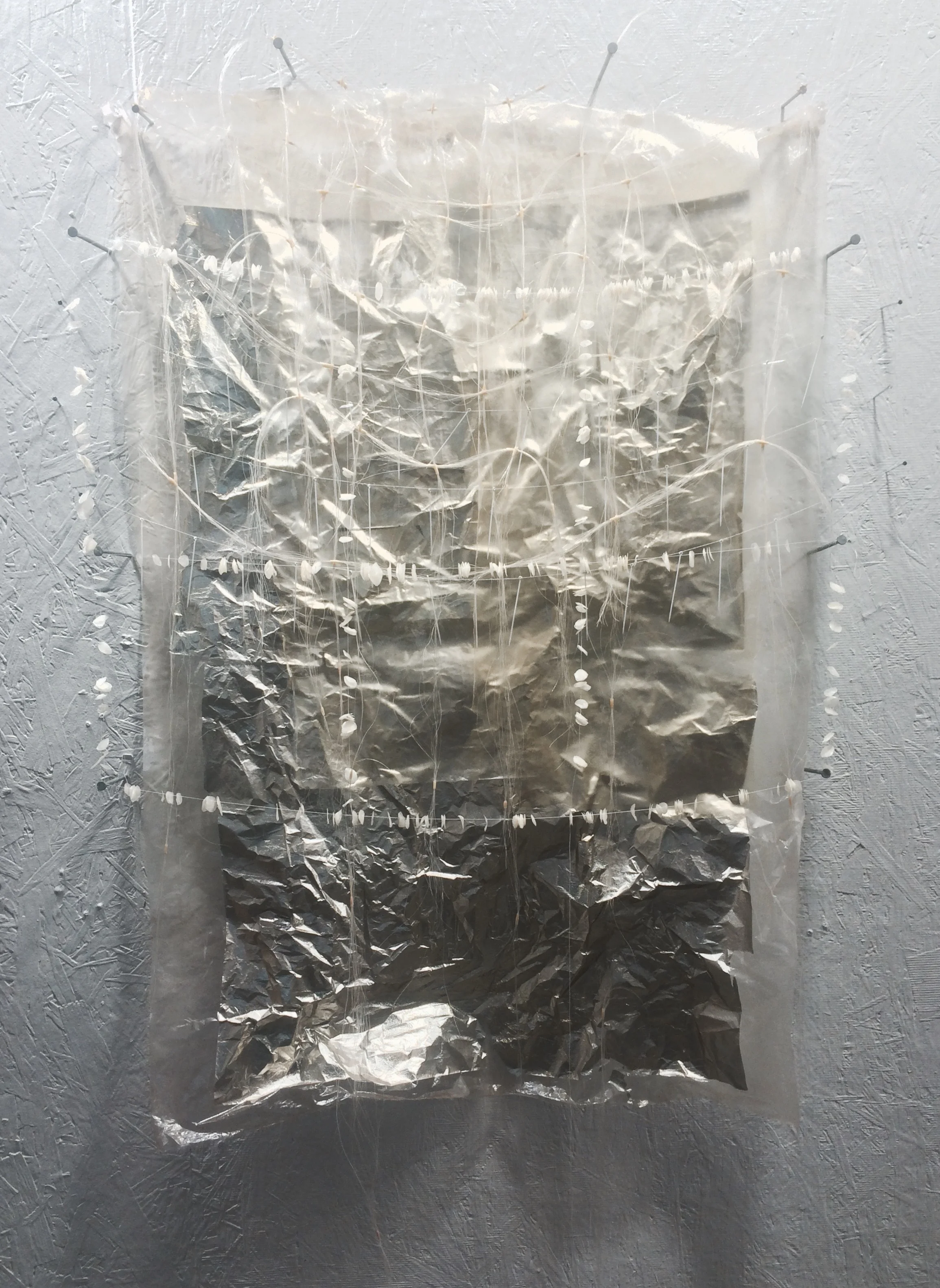 Extratextual (fish scales)