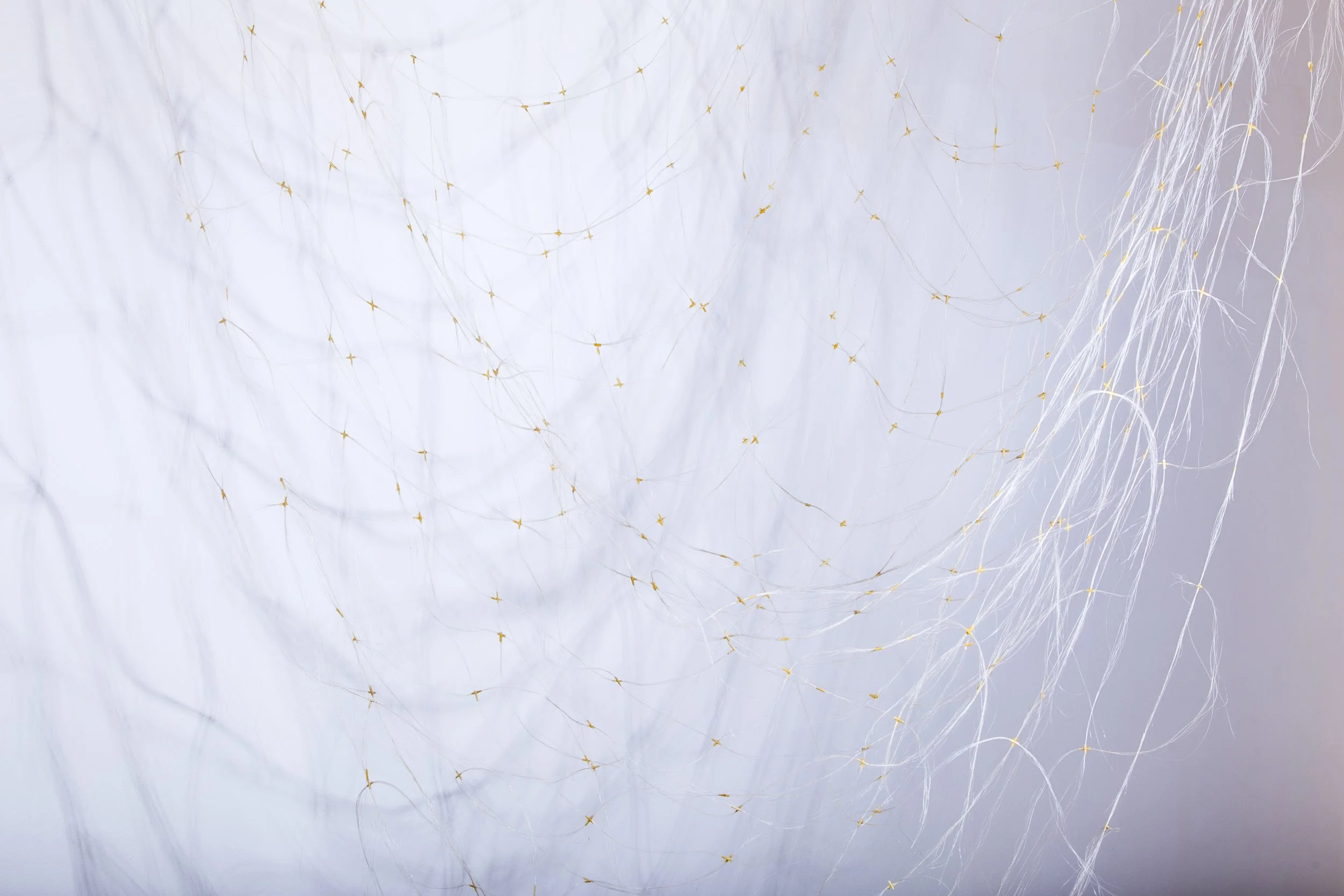Three Signs in Space horsehair, paper 2016